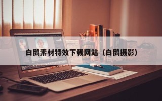 长兴白鹅素材特效下载网站（白鹅摄影）